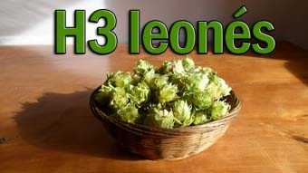 H3 leonés lúpulo