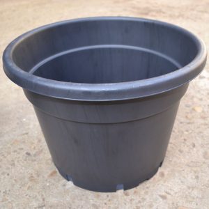Maceta grande para plantar lúpulo