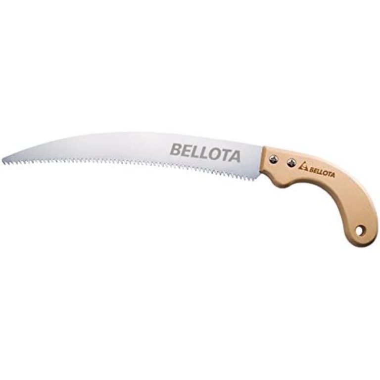 serrucho-bellota