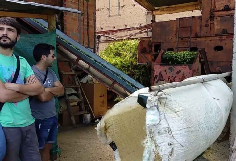 Visita guiada lúpulo