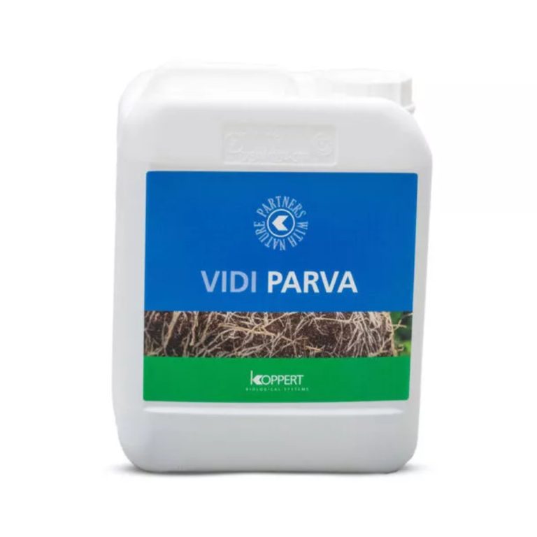 Vidi Parva bioestimulante radicular