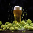 cerveza con lúpulo movimiento