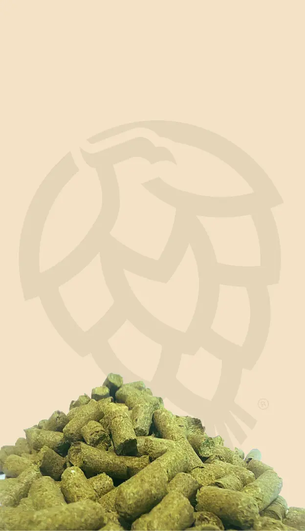 lupulo-pellet-vendolupulo-1